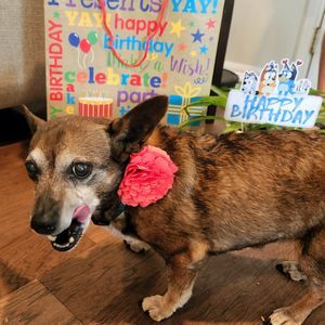 Meet your Posher, Michelle